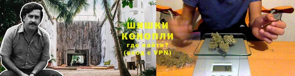 первитин Богданович