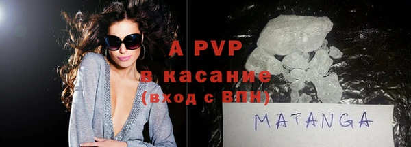 гидра Богородицк