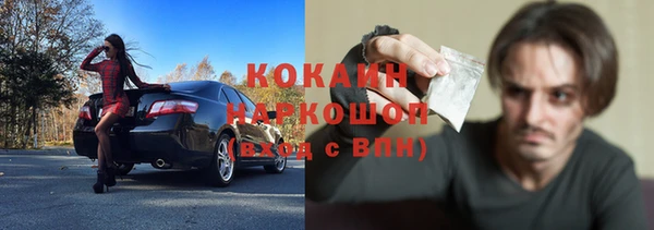 первитин Богданович