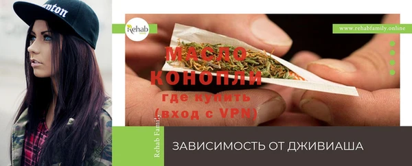 гидра Богородицк