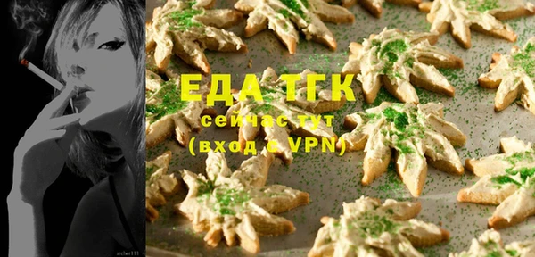 гидра Богородицк