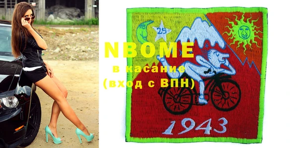 гидра Богородицк