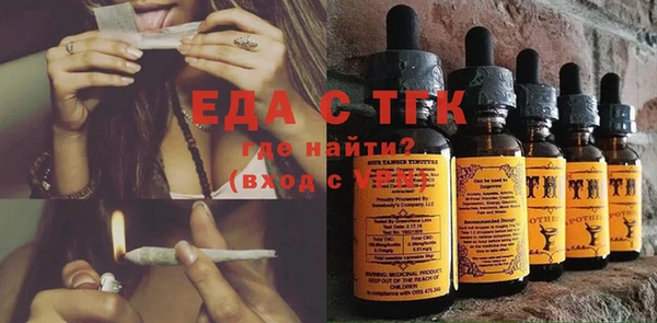 гидра Богородицк