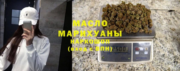 гидра Богородицк