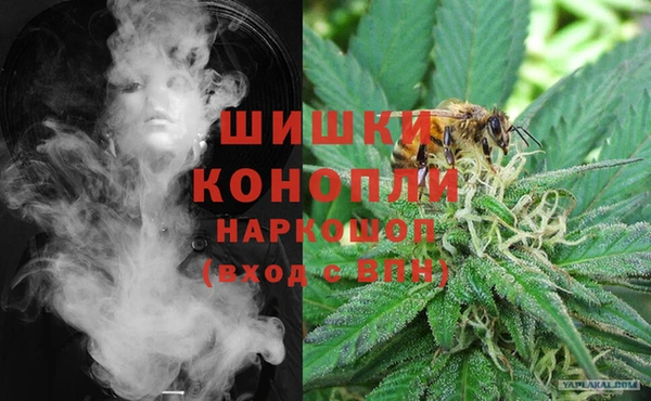 первитин Богданович