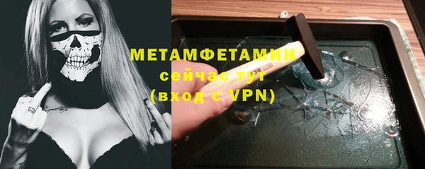 гидра Богородицк