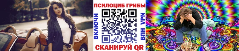 Галлюциногенные грибы MAGIC MUSHROOMS  как найти закладки  Братск 