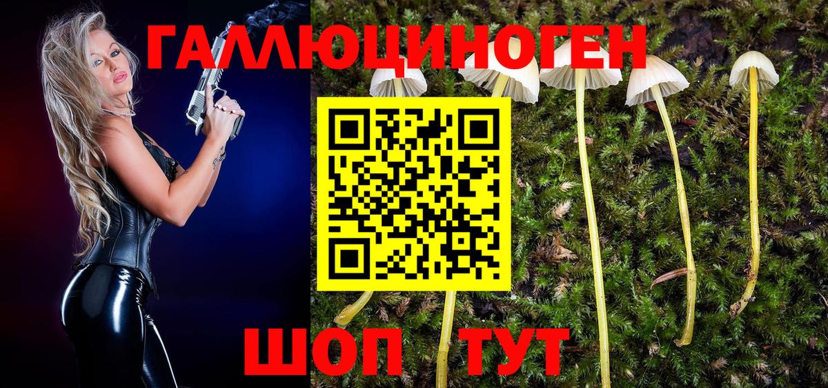 хочу   Братск  Галлюциногенные грибы мухоморы  Псилоцибиновые грибы MAGIC MUSHROOMS 
